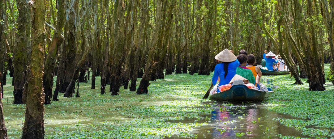 barcos vietnamitas em alagado na floresta