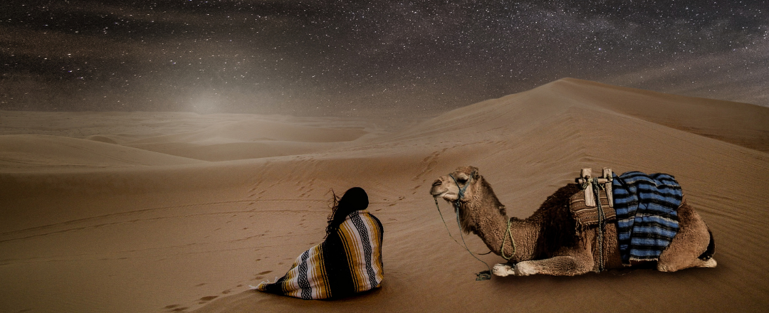 mulher e camelo observando o céu noturno no deserto
