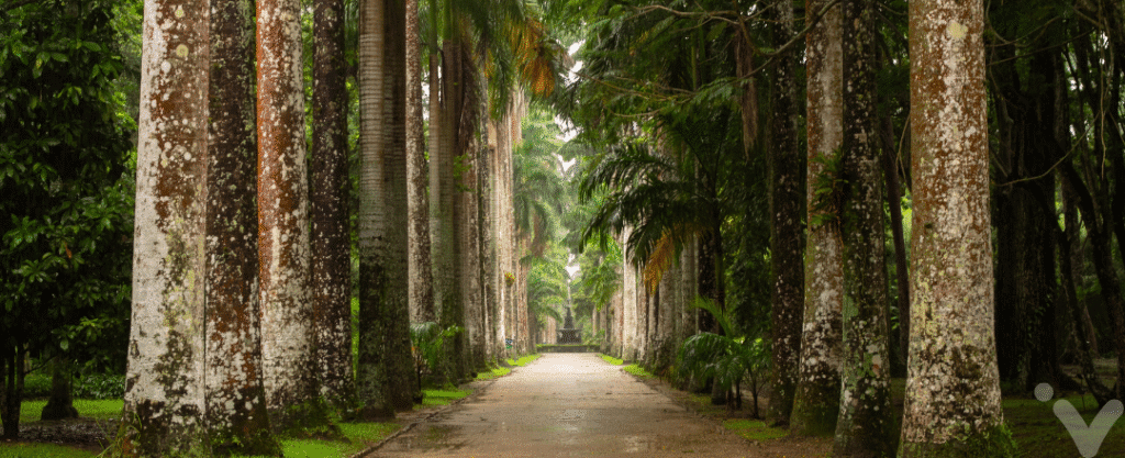 Jardim Botânico, Rio de Janeiro, RJ