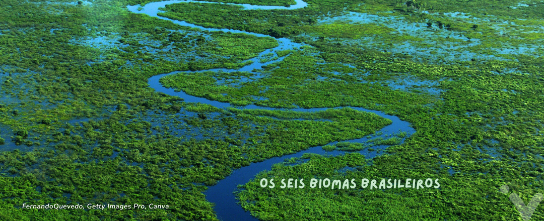 Vista aérea da Amazônia