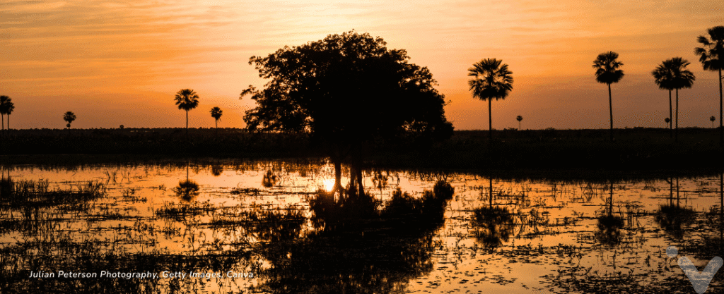 Pôr do Sol no Pantanal Matogrossense