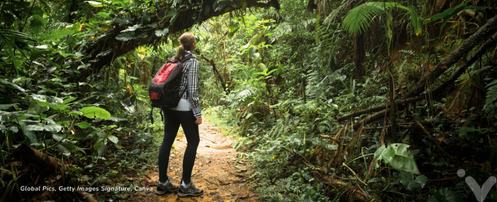 Caminhando na Mata Atlântica