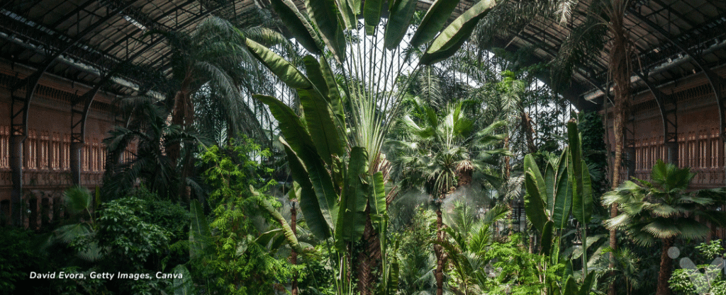 Jardim interno da estação de trem Atocha em Madri, Espanha