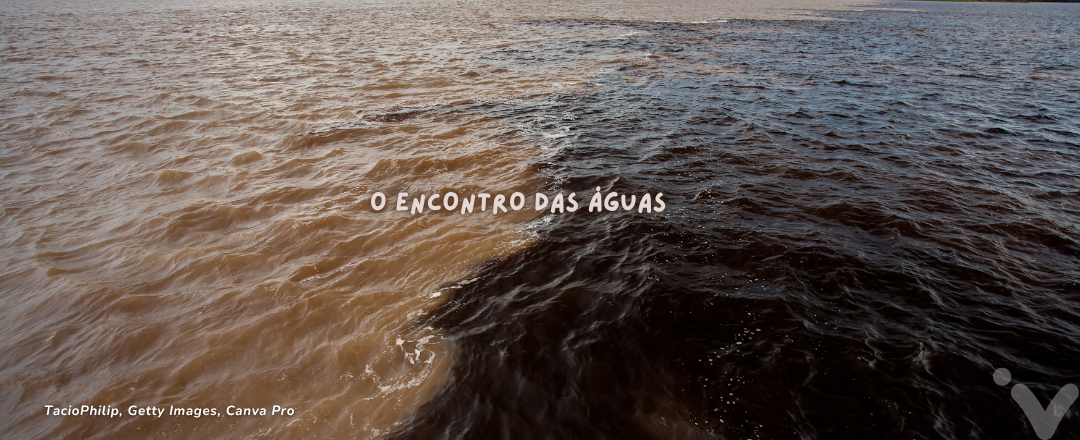 Encontro das Águas dos rios Negro e Solimões na Amazônia